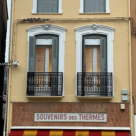 Le Nid Des Roitelets - Cosy T2 A 50 M Des Thermes - Classe 2 Etoiles * Amélie-les-Bains-Palalda